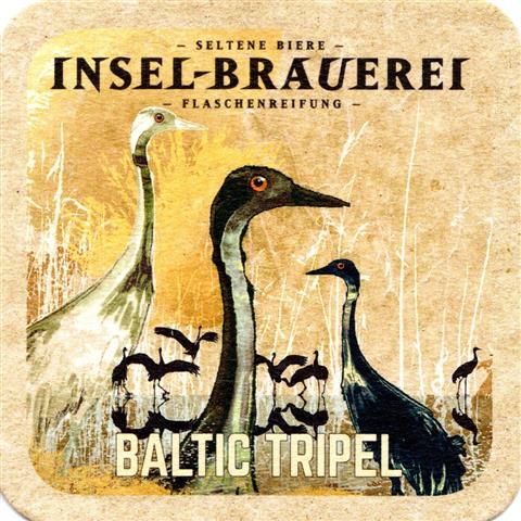rambin vr-mv inselbrauerei baltic 3a (quad185-baltic tripel)